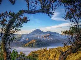 bromo